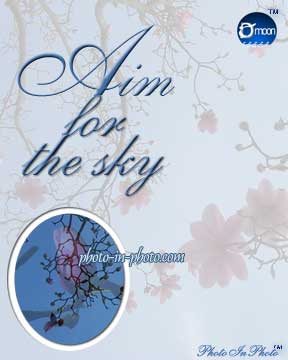 Aim for the Sky