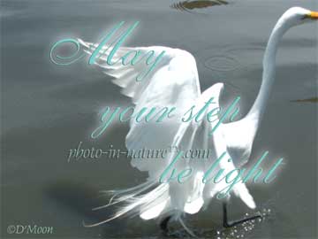 May Your Step Be Light