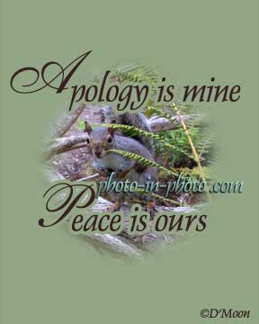 Apology is Mine, Peace is Ours