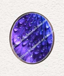 purple bead curtain