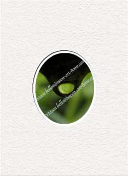 raindrop against green