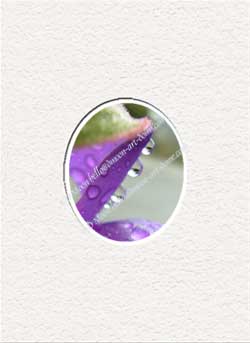triple purple pearls